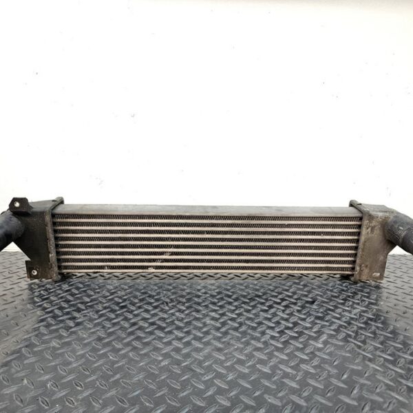 INTERCOOLER LAND ROVER FREELANDER (LN) [PNG000020]