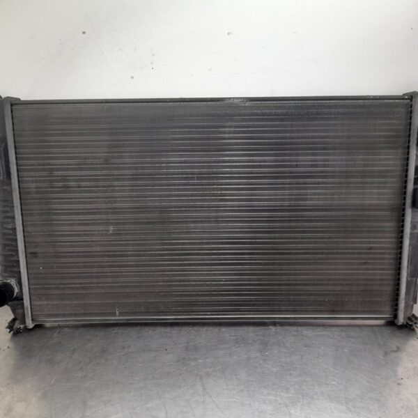 RADIADOR AGUA DACIA DUSTER I [214108807R]