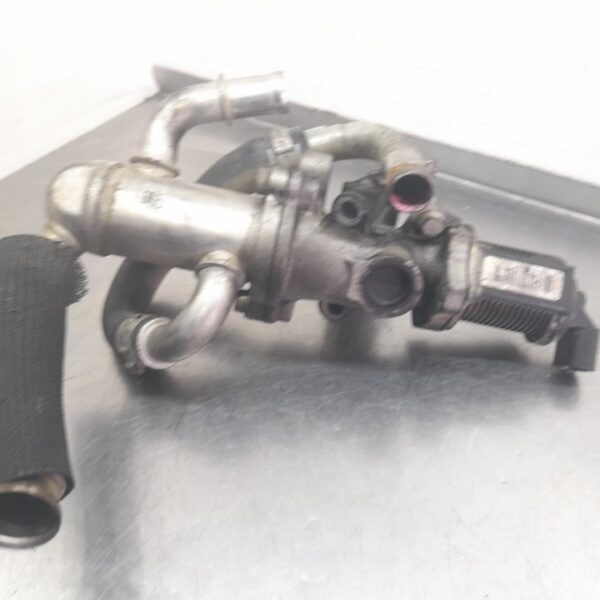 VALVULA EGR FIAT I DOBLÒ (119) [55219498]