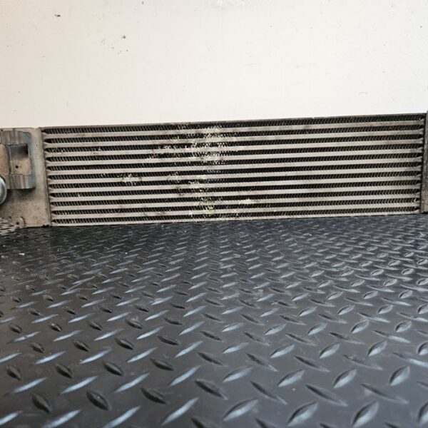 INTERCOOLER RENAULT SCENIC II (JM) [8200325003]