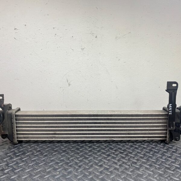INTERCOOLER RENAULT KANGOO I (F/KC0) [8200221885A]