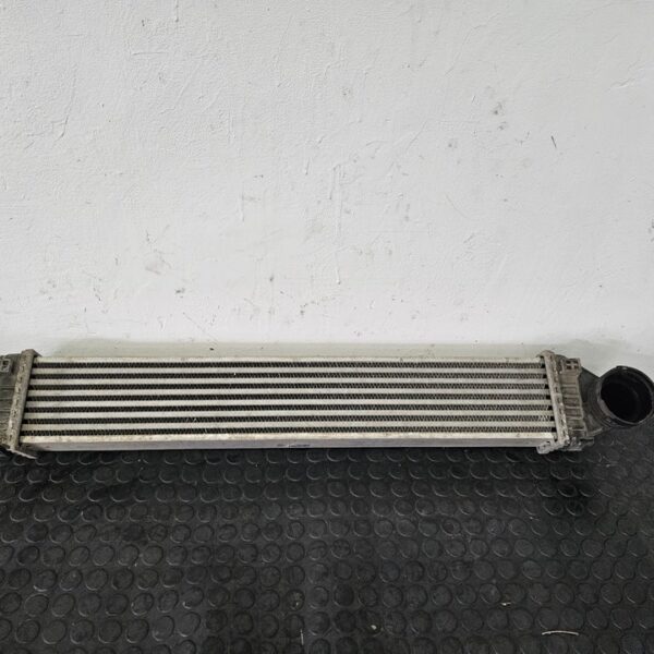 INTERCOOLER MERCEDES-BENZ CLASE B (BM 245) [A1695000900]