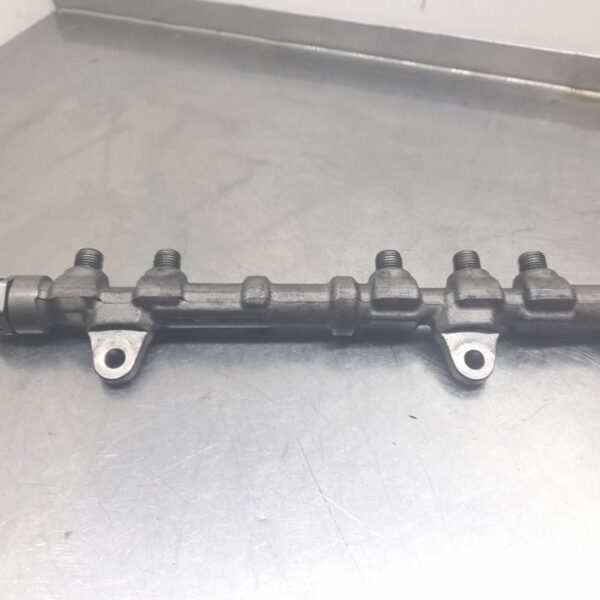 RAMPA INYECTORA FIAT GRANDE PUNTO (199) [0445214193]