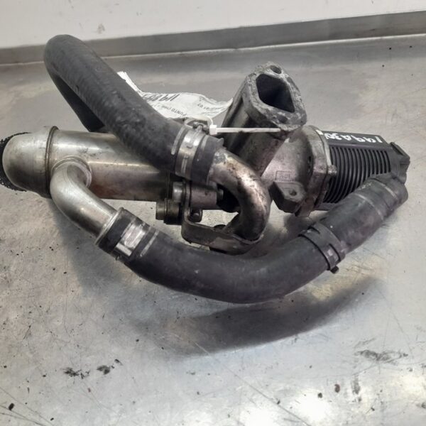 VALVULA EGR FIAT GRANDE PUNTO (199) [55204941]