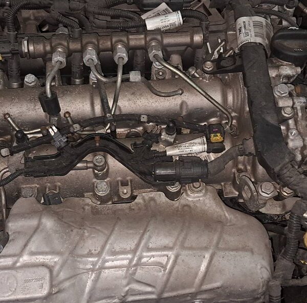 OPEL INSIGNIA BERLINA [Cosmo]