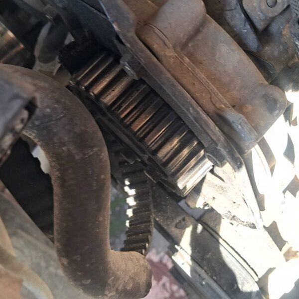 FORD FOCUS SPORTBREAK (CB4) [Trend]