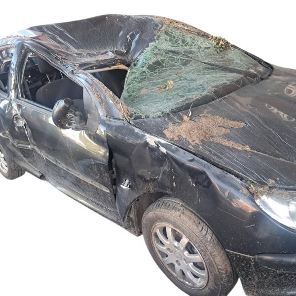 PEUGEOT 206 [E-Music]