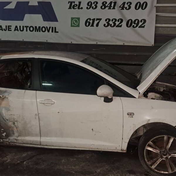 SEAT IBIZA SC (6J1) [Color Edition]