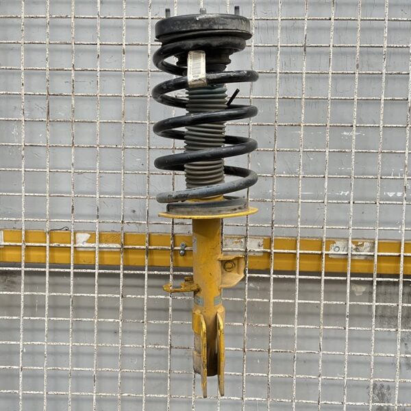 AMORTIGUADOR DELANTERO IZQUIERDO BMW SERIE X5 (E53) [6750332]