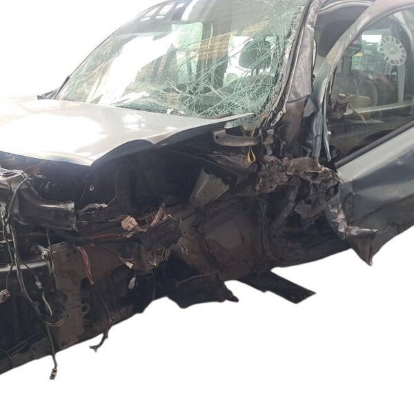 RENAULT KANGOO II (F/KW0) [Expression Profesional]