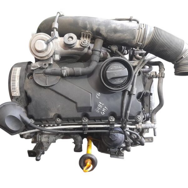 MOTOR COMPLETO VOLKSWAGEN GOLF V (1K1)(10.2003) [BXE]