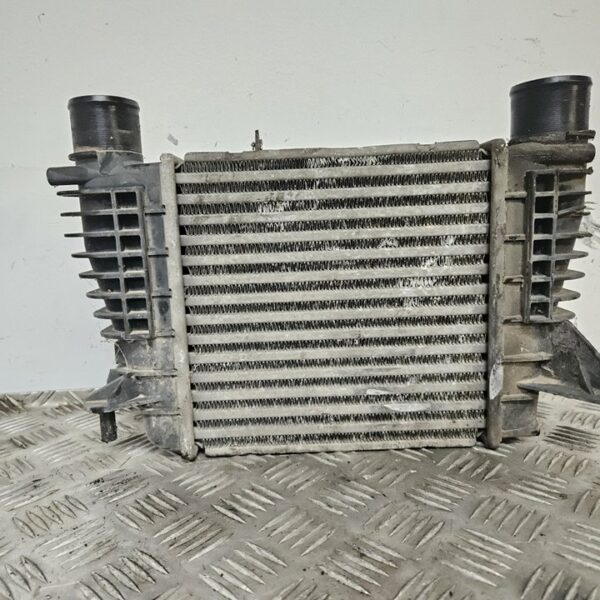 INTERCOOLER RENAULT CLIO III [8200471885A]