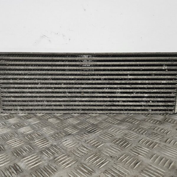 INTERCOOLER RENAULT MEGANE II BERLINA 5P [8200115540]